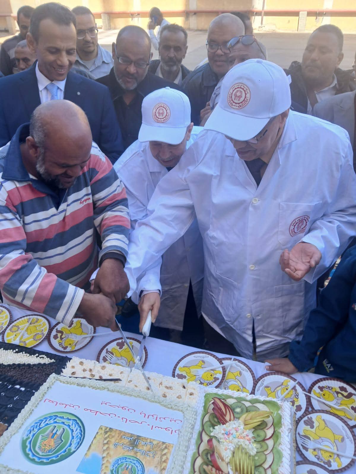 عمال مطاحن اسوان يستقبلون الرئيس التنفيذي بالتورته خلال جولته باسوان