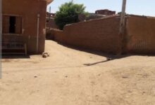 أهالي الضمان كو ممبو اسوان يبحثون عن الأمان المفقود