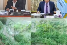 مزارعو حوض الرزق والمالحة يطلقون صرخة استغاثة لا مياه لري القمح بكفر الشيخ 