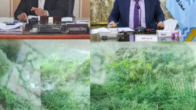 مزارعو حوض الرزق والمالحة يطلقون صرخة استغاثة لا مياه لري القمح بكفر الشيخ 