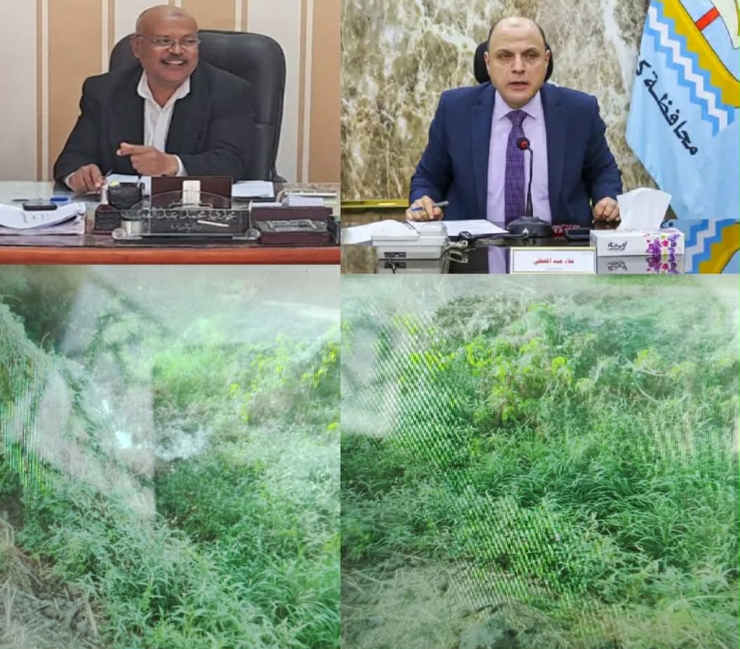 مزارعو حوض الرزق والمالحة يطلقون صرخة استغاثة لا مياه لري القمح بكفر الشيخ 