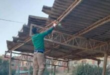 إحلال وتجديد موقف شباس الملح برعاية الدكتور إبراهيم عيسى عضو مجلس الشيوخ