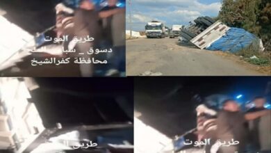 استغاثة عاجلة.. أهالي شباس الملح يطالبون بتدخل رئاسي لإنقاذ طريق "دسوق – شباس الملح" (طريق صوامع الغلال)