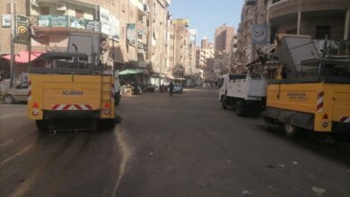 استمرار حملات النظافة والتجميل اليومية وزراعة الأشجار وطلاء البلدورات بمدينة دسوق