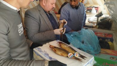 ضبط كمية من السردين المملح والرنجة مجهولة المصدر بكفر الشيخ 7 ضبط كمية من السردين المملح والرنجة مجهولة المصدر بكفر الشيخ