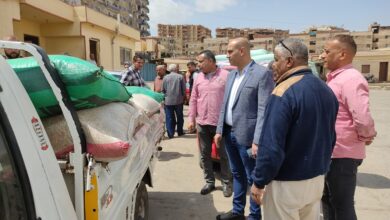 كفر الشيخ في سباق مع الحصاد .. 25 موقعًا تستقبل القمح