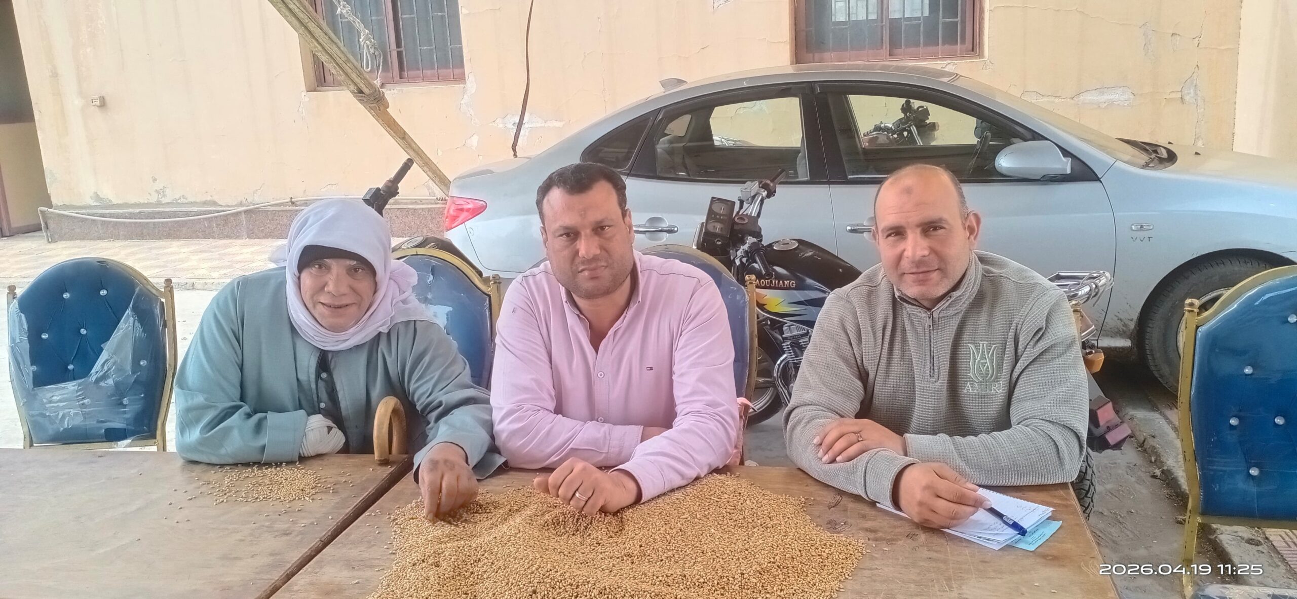 تموين بكفر الشيخ .. استلام الاقماح المحلية من خلال 25 موقع