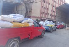 مديرية التموين بكفر الشيخ .. تواصل استلام الأقماح المحلية لموسم 2026 وسط متابعة مكثفة