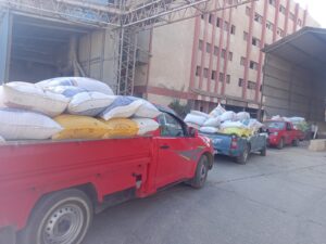 مديرية التموين بكفر الشيخ .. تواصل استلام الأقماح المحلية لموسم 2026 وسط متابعة مكثفة