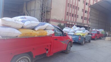 مديرية التموين بكفر الشيخ .. تواصل استلام الأقماح المحلية لموسم 2026 وسط متابعة مكثفة