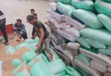 توريد 8243 طن و545 كجم من القمح لصوامع وشون كفر الشيخ